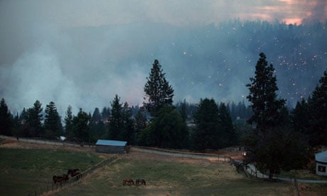 'Sad man fiction' … wildfire burns out of control along highway 97C near Peachland, British Columbia