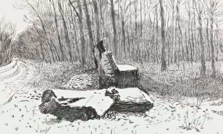 David Hockney S Yorkshire Spring Drawings Art And Design The