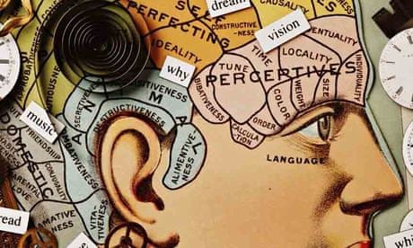 ‘A great many factors conspire to shape our decisions’ … a phrenological diagram.