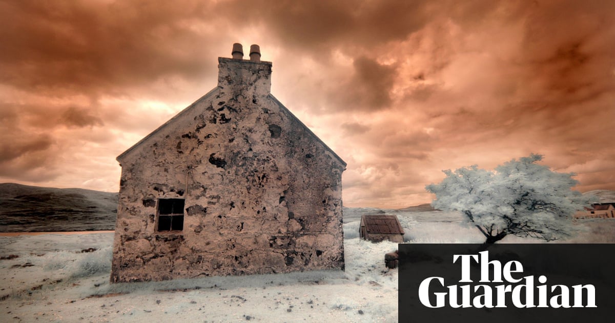 The Dogs by Allan Stratton review – a permanent state of dread