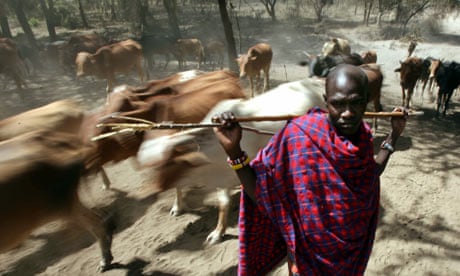 Maasai tribesman 