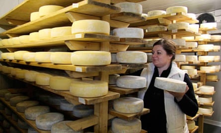 Cheese at the Zoff dairy farm