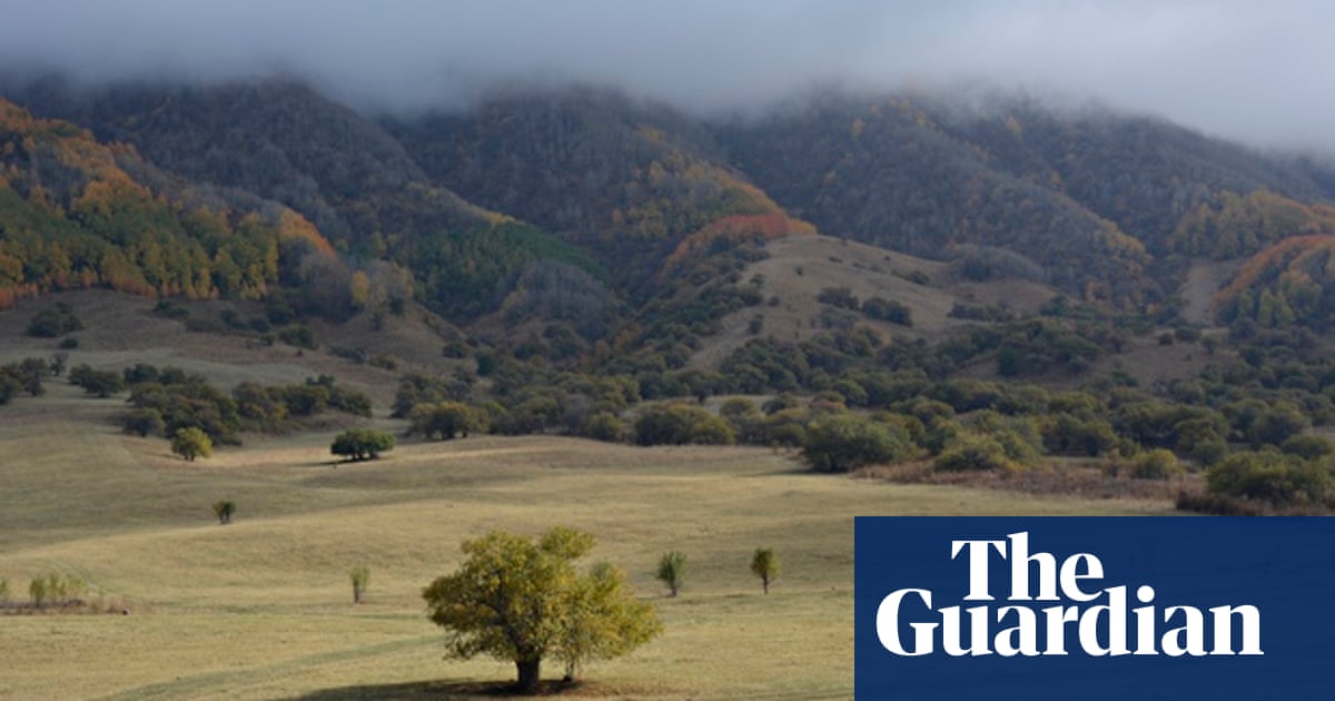 Gardens Why We Need To Protect Kazakhstan S Wild Apples Life