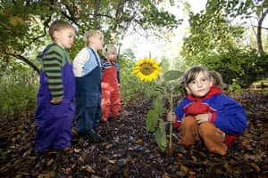 great plant hunt: Children identify a sunflower