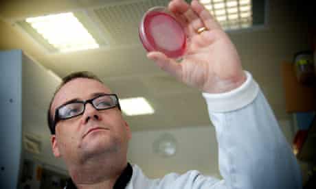Martyn Amos: 'I want to build a bacterial brain in a dish'