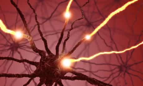Interconnected neurons transferring information