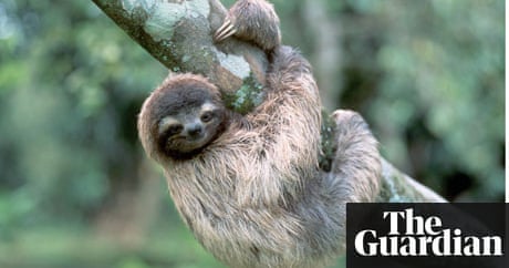 Google my business app Google my business app