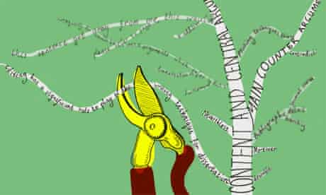 Pruning illustration for dissertation series