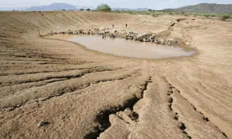 COP15 3C Environmental Destruction Threatens Kenya
