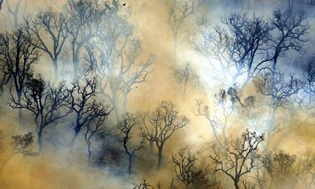 COP15 climate change: drought and forest fires in Portugal