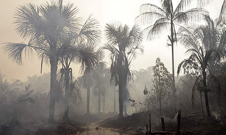 COP15 : REDD Deforestation and drought : The Amazon forest burns next to the city of Mandaquiri.