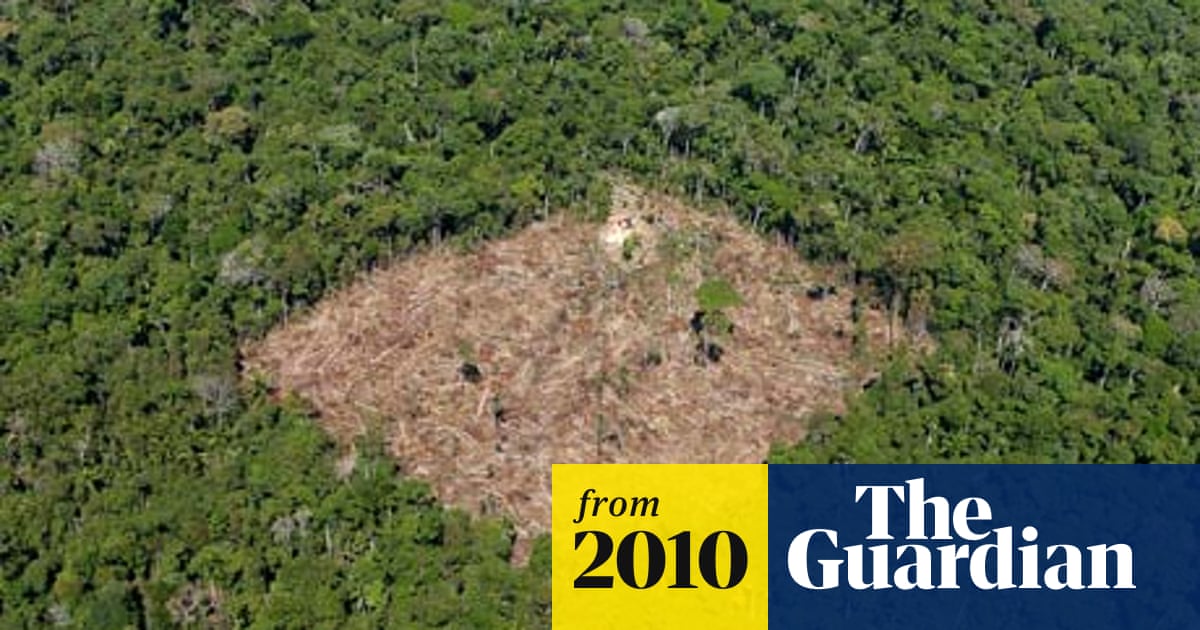 Amazon Deforestation In Dramatic Decline Official Figures Show Deforestation The Guardian Amazon Deforestation In Dramatic Decline Official Figures Show Deforestation The Guardian