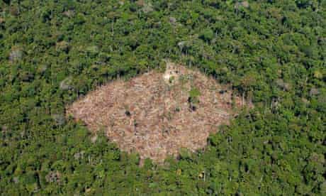 Amazon Deforestation In Dramatic Decline Official Figures Show Deforestation The Guardian Amazon Deforestation In Dramatic Decline Official Figures Show Deforestation The Guardian