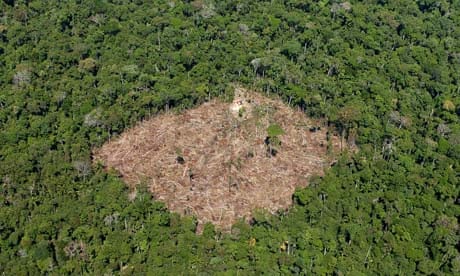 COP15 : REDD and deforestation in Brazil, Para state