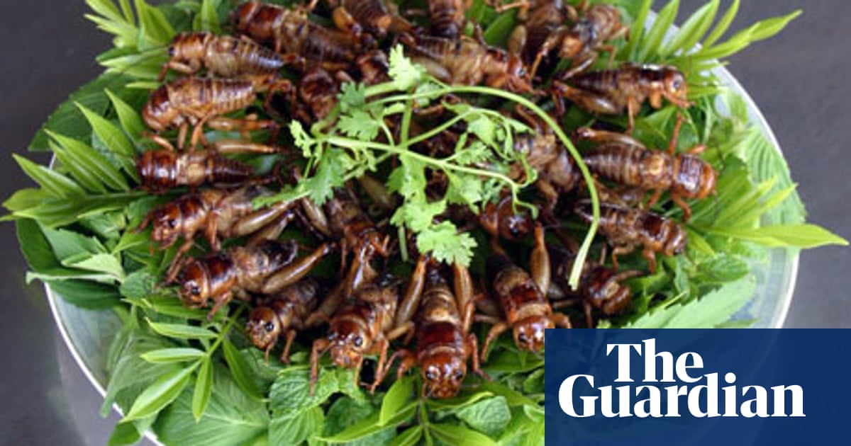 Deep-Fried Locust, Anyone? Insects May Be The Answer To Our Looming Food  Crisis | Food | The Guardian