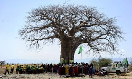 MDG : postcolonial Africa : Maasai people gather under a baobab tree during a political rally, Kenya