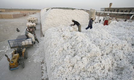 Ivermectin for human lice