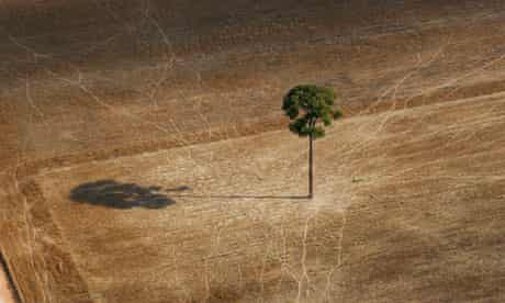 Biodiversity in focus : deforestation in Brazil