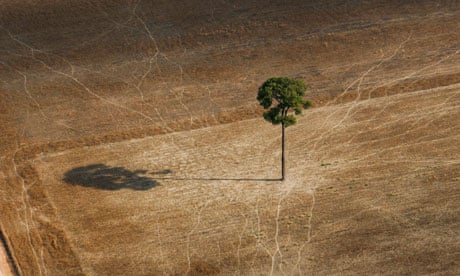 Biodiversity in focus : deforestation in Brazil