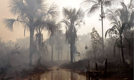 Biodiversity in focus : deforestation The Amazon forest burns next to the city of Mandaquiri