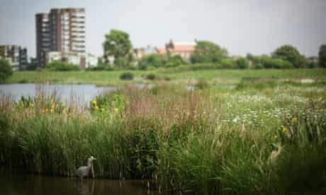 The London Wetlands Centre Celebrate Their 10th Anniversary