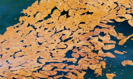 Deepwater Horizon oil rig spill
