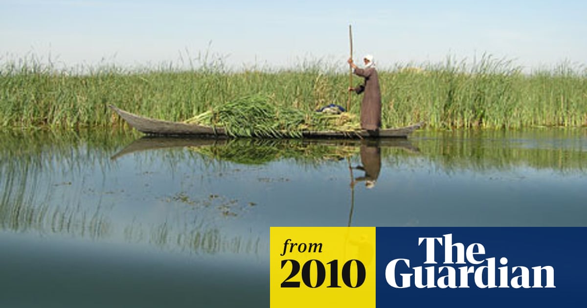 Paradise Found Water And Life Return To Iraq S Garden Of Eden