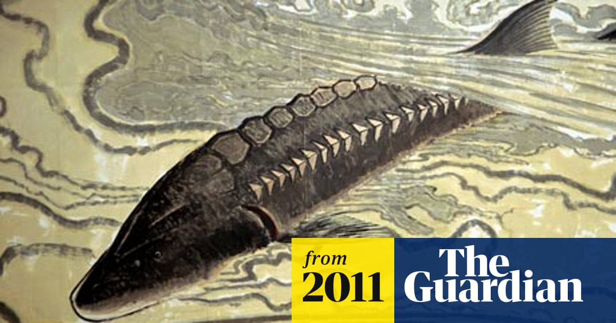 âRare Species in the Three Gorges of the Yangtze Riverâçå¾çæç´¢ç»æ