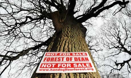 Forests sell-off plans  : Forest of Dean