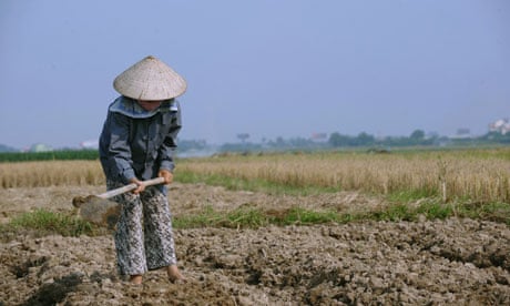 MDG : Aid budget : Vietnam