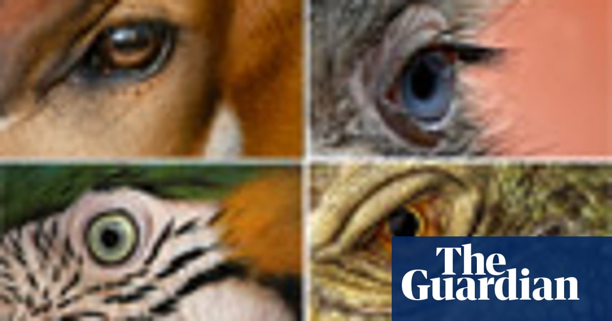 Quiz de animais