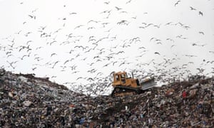 Damian blog : Seaton Meadows Landfill site in Hartlepool