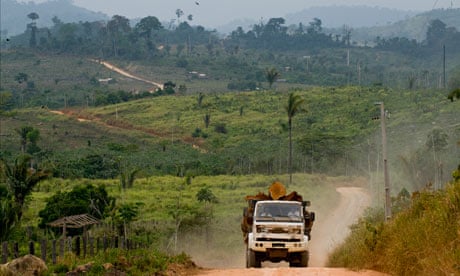 deforestation in 2009 declines to lowest on record