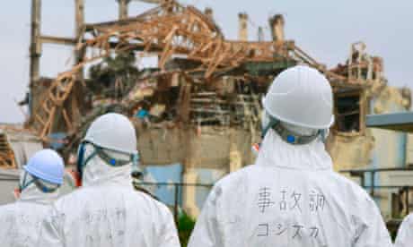Members of Japanese government panel to investigate accident at Fukushima nuclear power plant