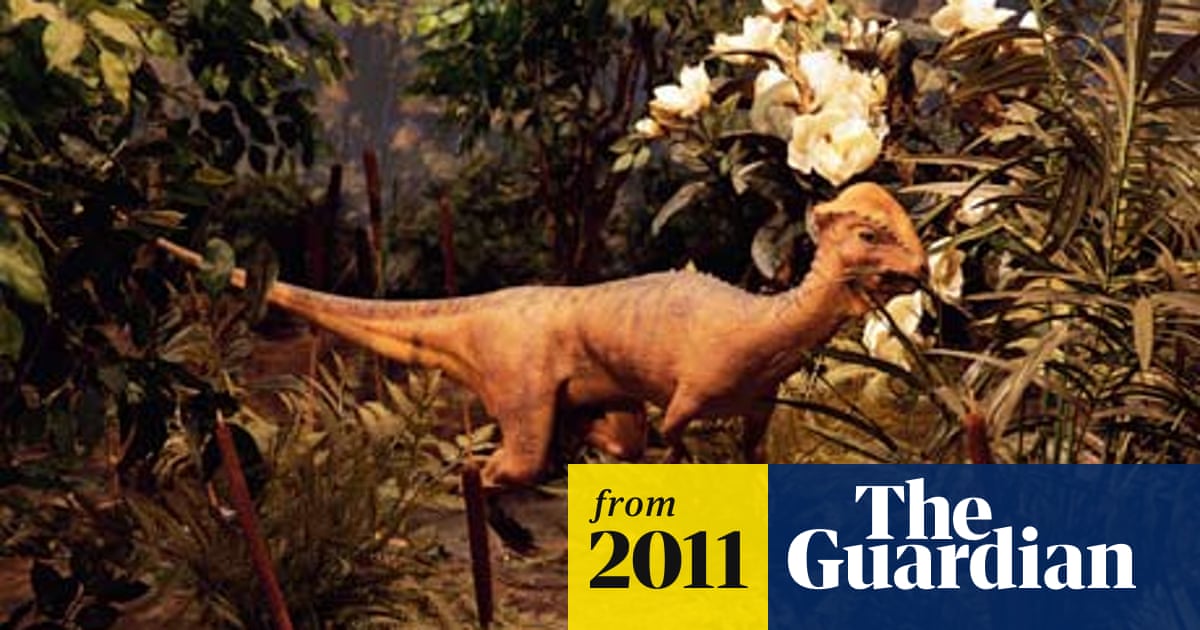 Dinosaur Had A Motorcycle Helmet Skull For Head Butting Love Rivals Dinosaurs The Guardian