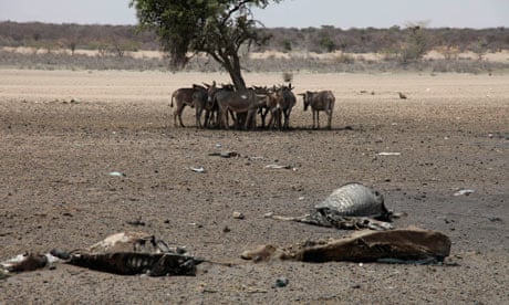 MDG : Drought in East Africa , Kenya