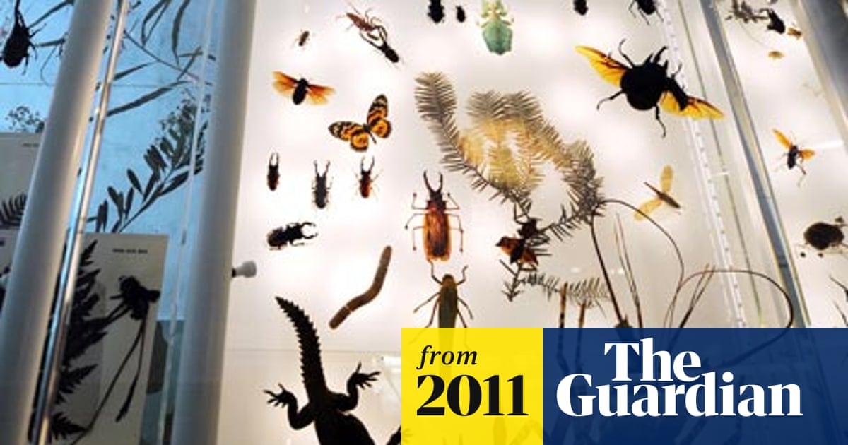 Planet Earth Is Home To 8 7 Million Species Scientists Estimate