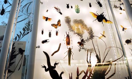 Census of Marine Life claims  8.7m species on earth : Display at Natural History Museum