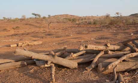 MDG : Burkina Faso : Deforestation and gold mining