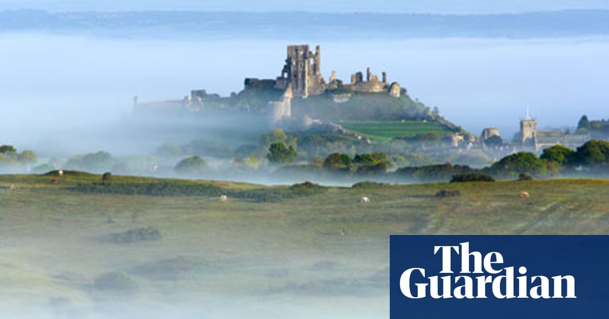 Country diary: Isle of Purbeck | Environment | The Guardian