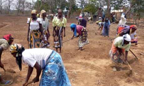 MDG : Mark Tran in Kenya : Farmers practicing digging zai pits in Kitui