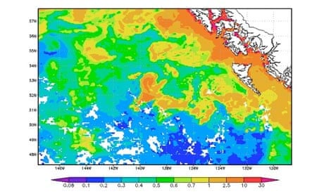 Geoengineering with bloom : high concentrations of chlorophyll in the Eastern Gulf of Alaska
