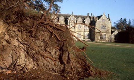 Uprooted trees at at Wakehurst place following the 1987 Storm