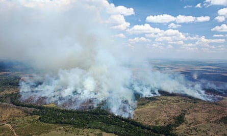 Deforestation In The Brazilian Amazon : fires set on pastures onto the forest  in Mato Grosso