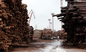 Imported timber at a dock in Shanghai, China