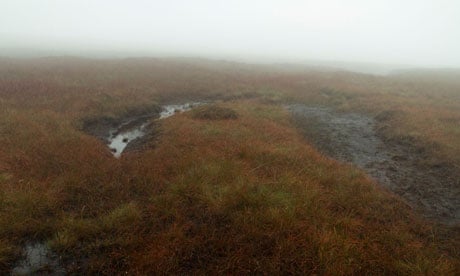 Blanket bog ( peatland ) in mist near Brown Knoll, Peak District, North Derbyshire, England, UK