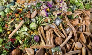 Food waste collected by Bio Collectors