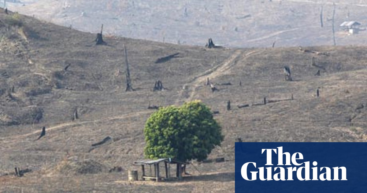 Memo To Rio Green Economy Doesn T Mean Monetising Nature Environmental Sustainability The Guardian Memo To Rio Green Economy Doesn T Mean Monetising Nature Environmental Sustainability The Guardian
