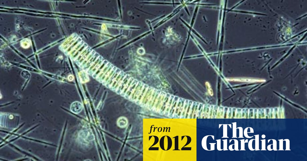 Dumping Iron At Sea Can Bury Carbon For Centuries Study Shows