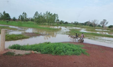 460px x 276px - Mali's rains have come, but there are too few rice and millet seeds |  Global development | The Guardian